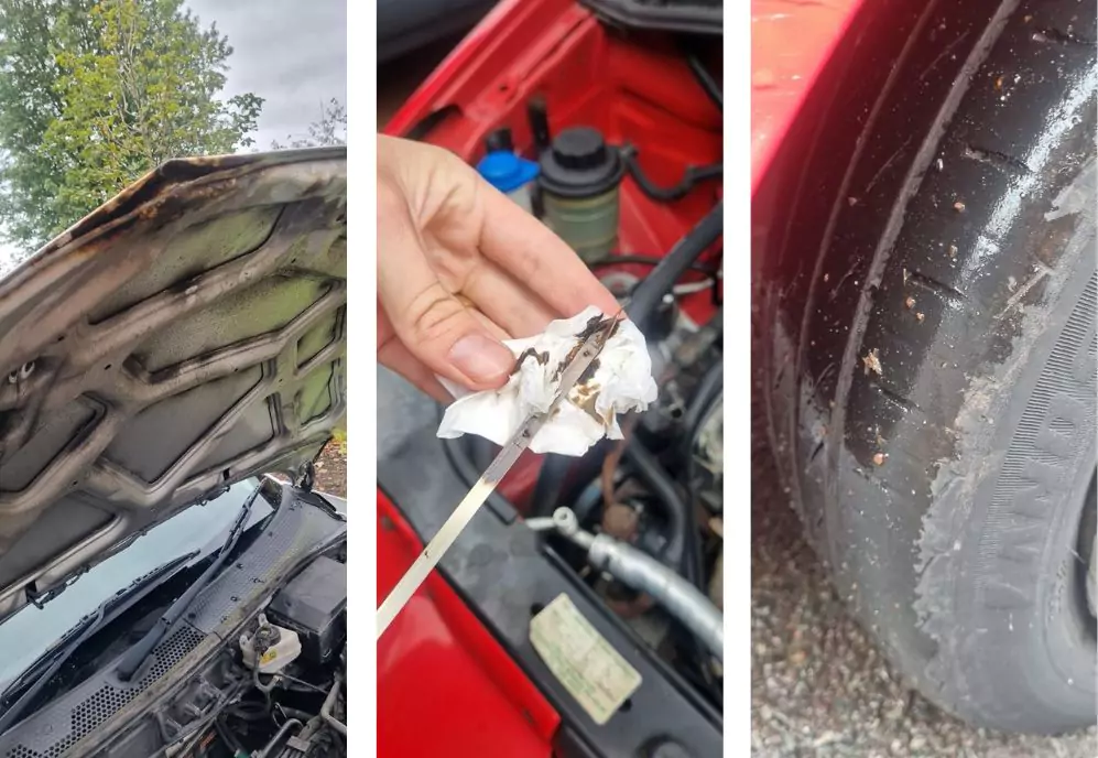 three images, a uk car with rust, UK car with low oil, UK car with balding tyre