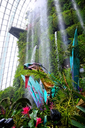 Avatar dragon at Cloud Forest Singapore