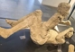 Pompeii victim cast, man with a child