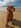 dog sitting on a beach in Cornwall